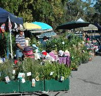 Meadows Monthly Market - Accommodation Cairns