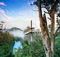 Tahune Adventures Tasmania - Accommodation Cairns