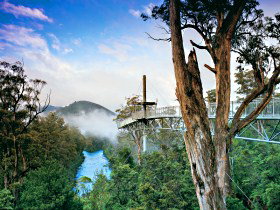 Tahune Adventures Tasmania - Accommodation Cairns 0