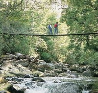 Arve Forest Drive - Accommodation Cairns