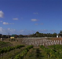 Deep Creek Wines and Alpacas - Accommodation Cairns