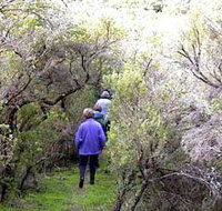 Jack And Hilda McArthur Walk - Accommodation Cairns