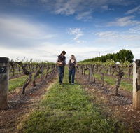 Coonawarra Wineries Walking Trail - Accommodation Cairns
