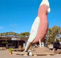 The Big Galah - Accommodation Cairns