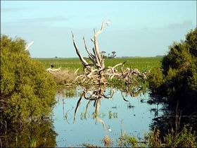  Accommodation Cairns
