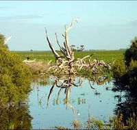 Bool Lagoon Game Reserve and Hacks Lagoon Conservation Park - Accommodation Cairns