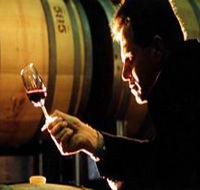 Salena Estate Wines - Accommodation Cairns