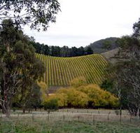Mt Bera Vineyards - Accommodation Cairns