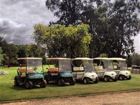 Loxton Golf Club - Accommodation Cairns 0