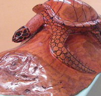 Ants Redgum Gallery - Accommodation Cairns