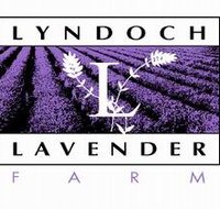 Lyndoch Lavender Farm and Cafe - Accommodation Cairns
