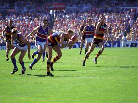 AAMI Stadium Tours - Accommodation Cairns 0