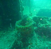 Wallaroo Scuba Club - Accommodation Cairns