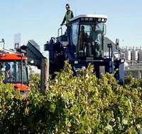 Ballast Stone Estate Wines Pty Ltd - Accommodation Cairns