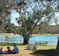 Naracoorte Nature Park and Swimming Lake - Accommodation Cairns