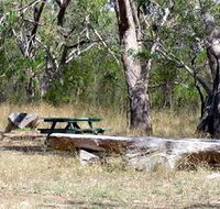 Penola Conservation Park - Accommodation Cairns