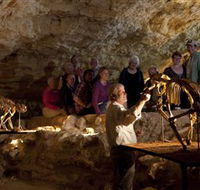 Naracoorte Caves National Park - Accommodation Cairns