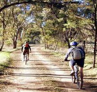 Bike About Mountain Bike Tours And Hire - Accommodation Cairns