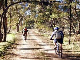 Bike About Mountain Bike Tours And Hire - Accommodation Cairns 0