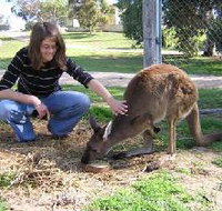 Pendleton Farmstay - Accommodation Cairns
