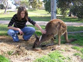 Pendleton Farmstay - Accommodation Cairns 0