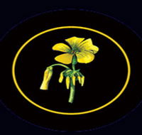 Battle of Bosworth Wines - Accommodation Cairns