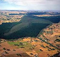 Mount Crawford Forest Reserve - Accommodation Cairns