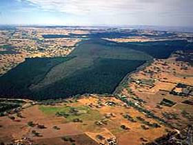 Mount Crawford Forest Reserve - Accommodation Cairns 0