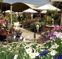Serenity Nursery - Accommodation Cairns