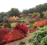 Emu Valley Rhododendron Garden - Accommodation Cairns