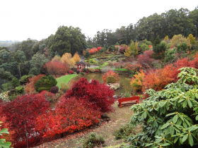 Emu Valley Rhododendron Garden - Accommodation Cairns 0