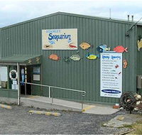 Stanley Seaquarium - Accommodation Cairns
