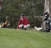 Tasmania Golf Club - The - Accommodation Cairns