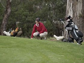 Tasmania Golf Club - The - Accommodation Cairns 0
