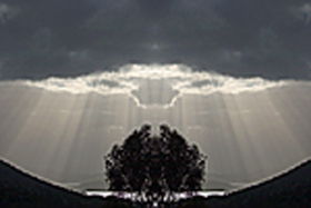 Aart. Gallery Of Fine Art - Accommodation Cairns 0