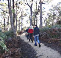 Bridport Walking Track - Accommodation Cairns