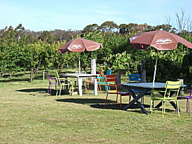 Cerise Brook Orchard & Family Golf - Accommodation Cairns 0