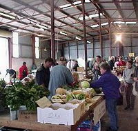 Burnie Farmers' Market - Accommodation Cairns