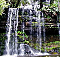 Mt Field National Park - Accommodation Cairns