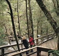 Franklin River Nature Trail - Accommodation Cairns