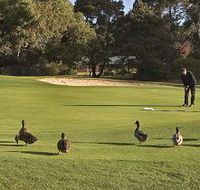 Royal Hobart Golf Club - Accommodation Cairns