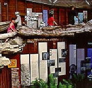 West Coast Visitor Information and Booking Centre - Accommodation Cairns