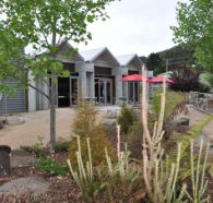 Tin Dragon Interpretation Centre and Cafe - Accommodation Cairns