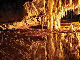Marakoopa Cave - Accommodation Cairns 0