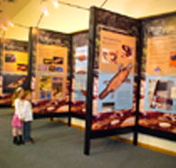 Platypus Experience - Accommodation Cairns
