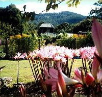 Blueberry Cottage Open Gardens - Accommodation Cairns