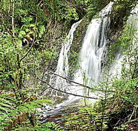 Hogarth Falls - Accommodation Cairns