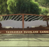 Tasmanian Bushland Garden - Accommodation Cairns