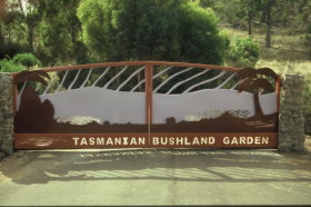 Tasmanian Bushland Garden - Accommodation Cairns 0