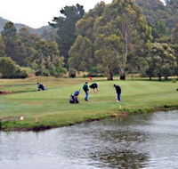 Penguin Golf Course - Accommodation Cairns
